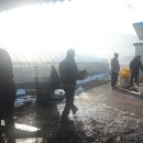 창대사료 이미지