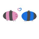 진전면942 이미지