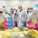 대관령원예농협 채소사업소