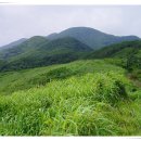 방화동가족휴가촌 자동차야영장 이미지