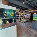 코보아쿠아 이미지