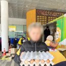 송일농장 네이버블로그