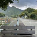 마음애고향 이미지