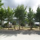 고성리-3 이미지