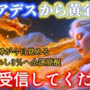 용신48 이미지