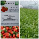 논골농장 이미지