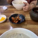 숙이숙이칼국수