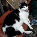 은혜할인마트 이미지