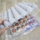 계림농장 | 무항생제 계림농장반숙란 먹어본 솔직후기