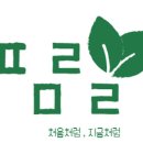 푸르미르상점