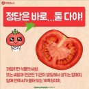 토마토는 과일일까요 채소일까요??? 이미지