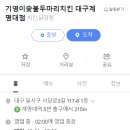 기영이 숯불두마리치킨 대구계명대점
