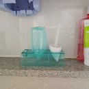 예진한의원 | 인천비염치료한의원 우리 아이 알레르기 비염 증상 탈출을 위한 여정 시작