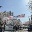 고성동 행정복지센터 | 대구 북구 벚꽃 명소 숨은 꽃길, 고성동 벚꽃 테마거리 코스