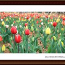 고잔역_신도시방향 이미지