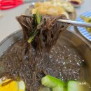[농민식품 리뷰] 냉면 밀키트 추천! 농민식품 칡냉면, 평양메밀냉면 밀키트!!