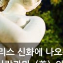 엘트리움스킨앤바디