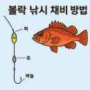 에프원파트너스 | 볼락 낚시 채비 방법 낚싯대 릴 추천 포인트 팁