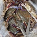 태현수산 | 농라 태현수산님의 꽃게 만족 후기