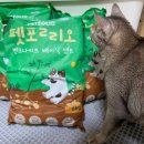 펫그리다 이미지