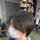 준오미장 이미지