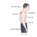 필라테스(재활운동/야간) 이미지