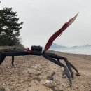 산포해수욕장 네이버블로그
