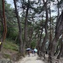 농협우리음료거창 | 경남 거창 가볼만한곳 여름 수승대 계곡 평상 물놀이 후기
