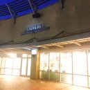 씨오디아이 | [일상] 여주프리미엄아울렛 구찌 디스코백 후기