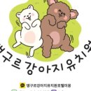 유일유치원 이미지