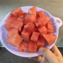백용기농장 | 씨 없는 데다 당도까지 높은! 전국 최우수상받은 백콩수박 추천해요