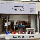 P-7726 | [대구/중구] 대구 이색데이트 중구 향촌동 클린아일랜드 &#34;베어브릭 아트체험&#34; 만족 후기