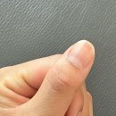 4월 5월 산뜻한 봄네일로 기분전환, 도내동 도래울 슬기로운네일