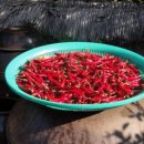 숲속옹달샘도서관 이미지