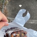 현정이네 농장 이미지