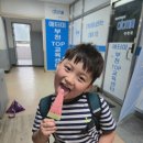 맥스점핑 태권도장 네이버블로그