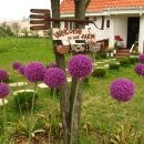 베테랑목장 이미지