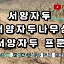 병열농장 네이버블로그