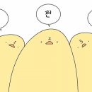 나눔화장품