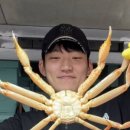 뚱보수산 이미지