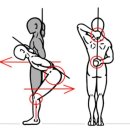 서진헬스 이미지