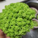 용설농장 이미지