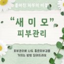 새미모