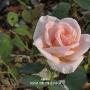 자연동산 이미지