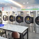 크린세탁광장