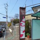 동해 묵호항 논골담길 묵호등대 도깨비골스카이밸리로 이어지는 산책후기