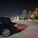 건지산도토리 이미지