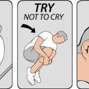 차오름 동물병원 이미지