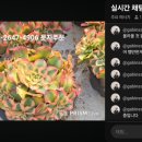 가빈농장 이미지