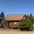 아르고통나무펜션 이미지